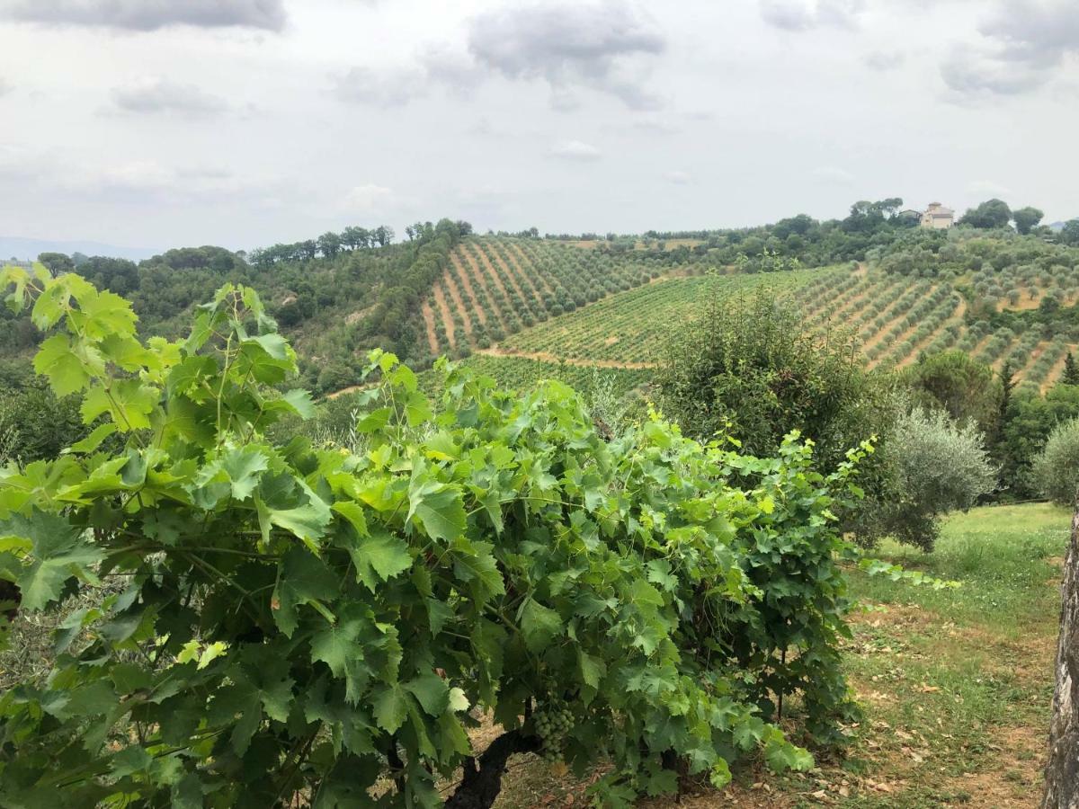 לסטרה א סיניה La Valle Di Anna מראה חיצוני תמונה